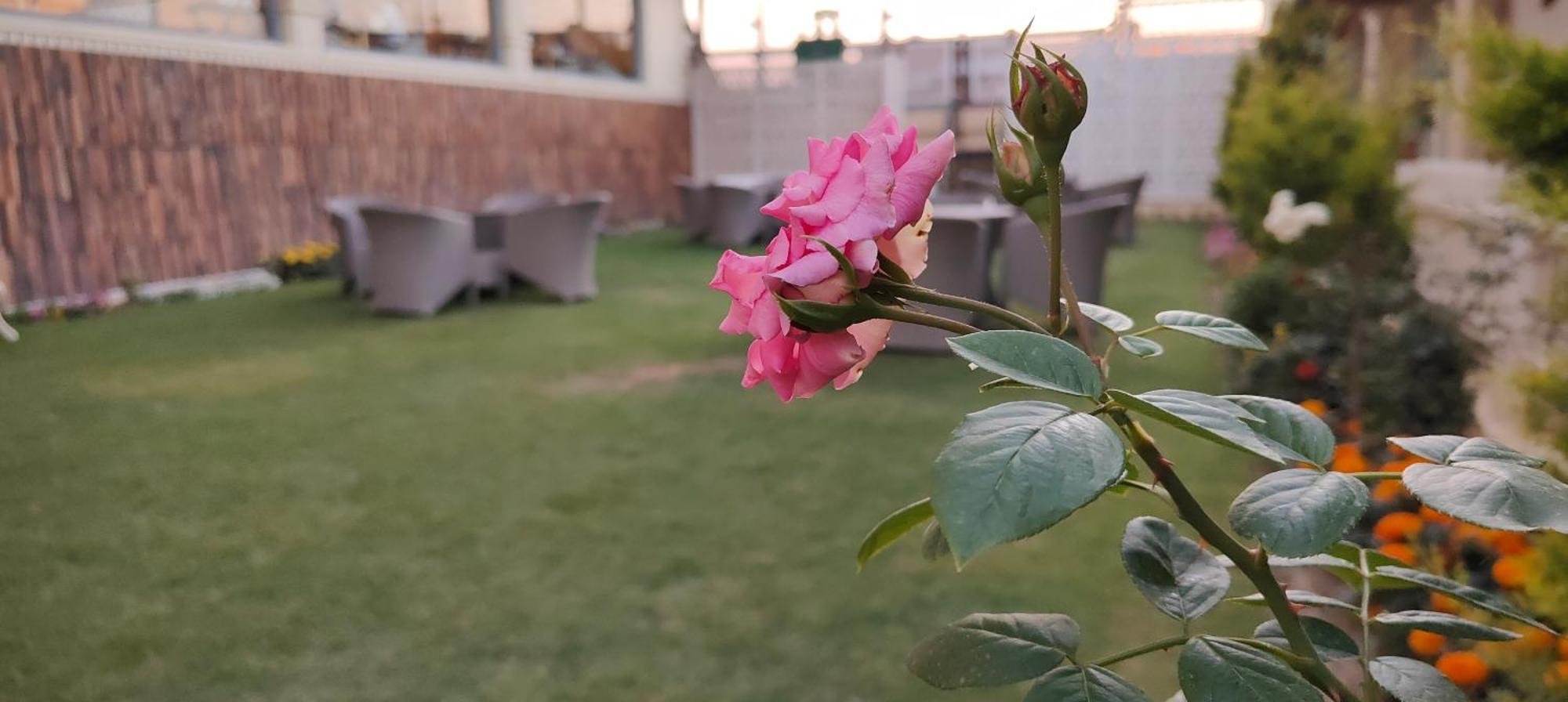 Arco Hotels And Resorts Srinagar Dış mekan fotoğraf